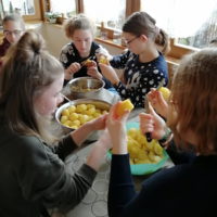 Kartoffelsalat machen zum Frühshoppen