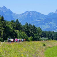 Fahrt durch das Rheintal